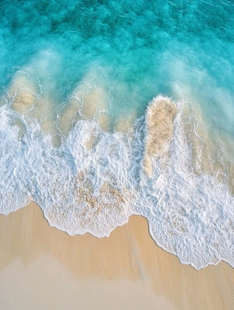 Aerial View Of A Tropical Beach 12