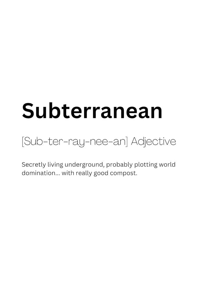 Subterranean Definition Meaning