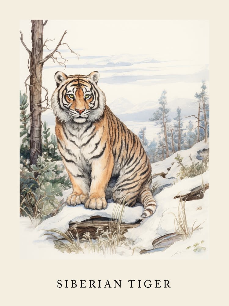 Beatrix Potter Inspired  Animal Watercolour Siberian Tiger 2