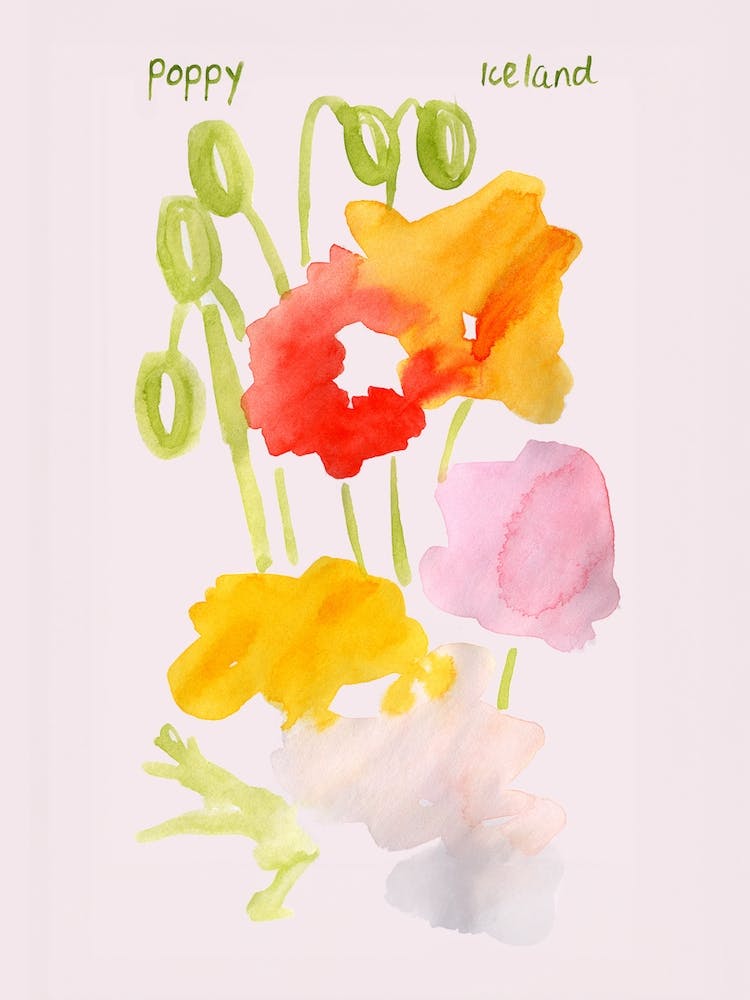 Icelandiic Poppies Flower Painting