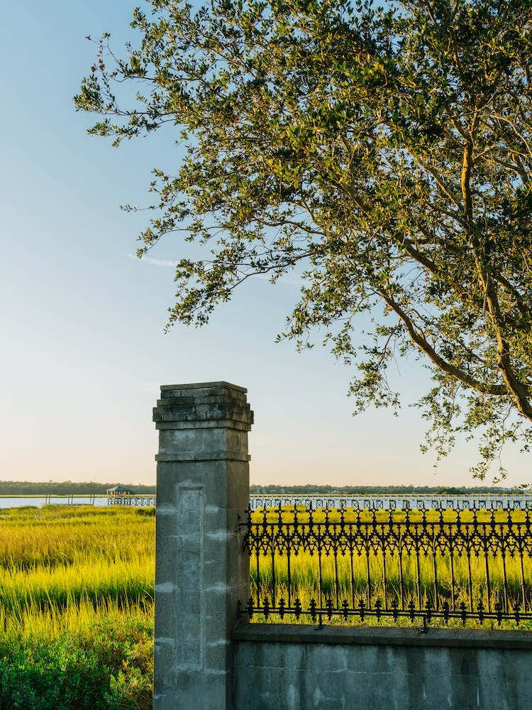 Charleston Lowndes Grove VI