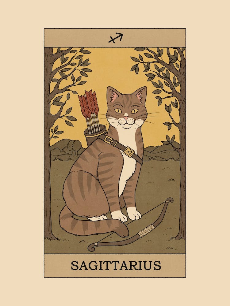Sagittarius Cat
