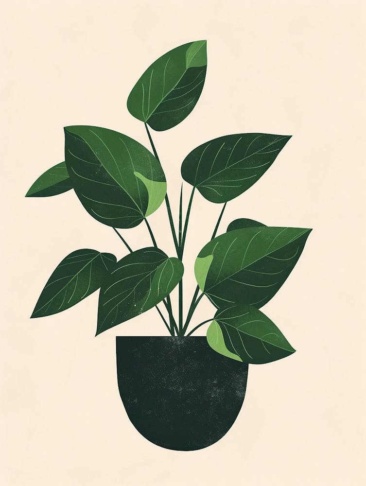 Pothos Plant Minimalist Illustration 4