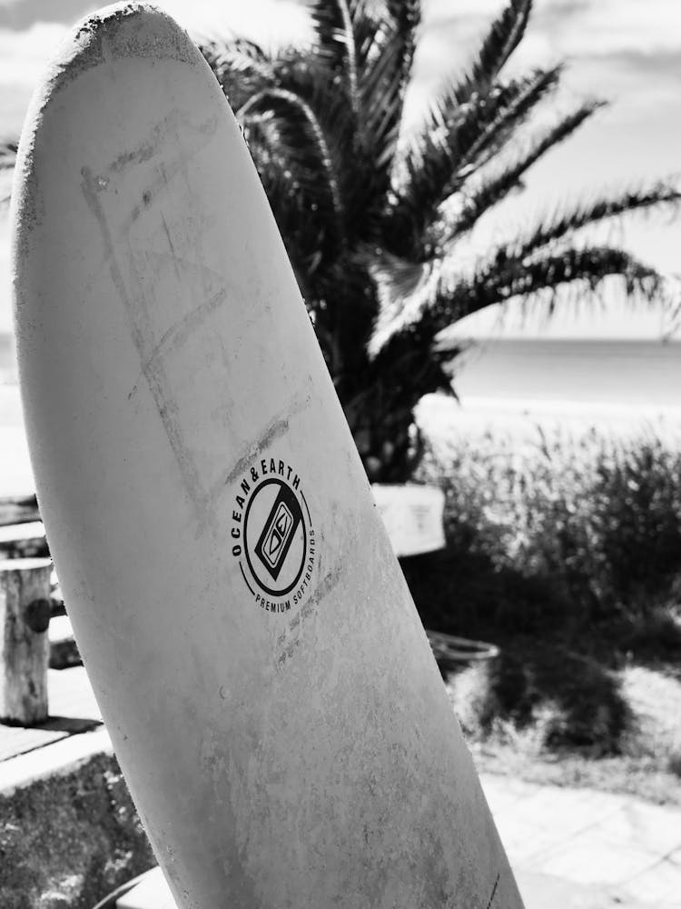 Black And White Surfboard 1