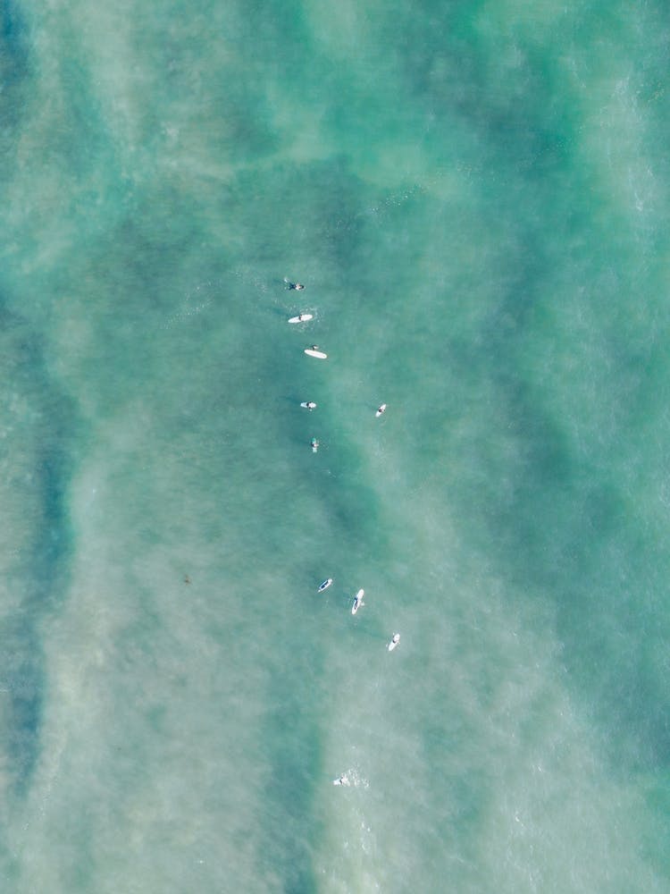 Surf Lineup Pacific Ocean