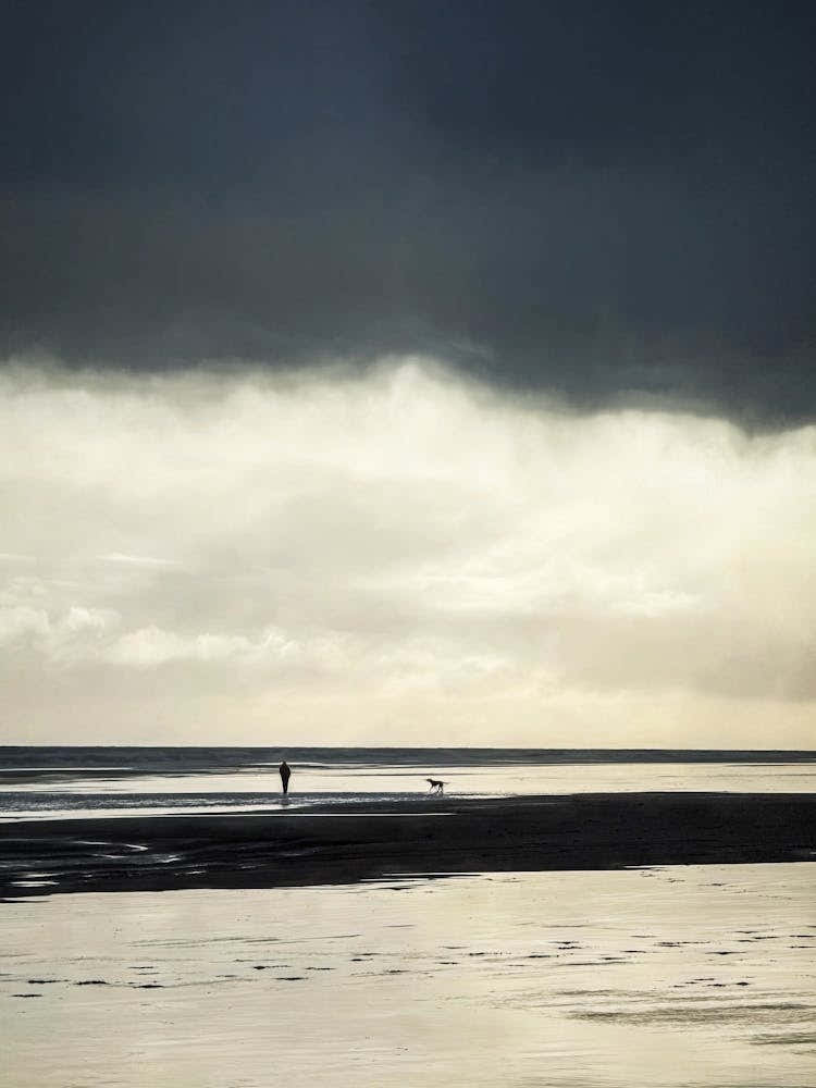 Atmosheric Beach Dog Walk