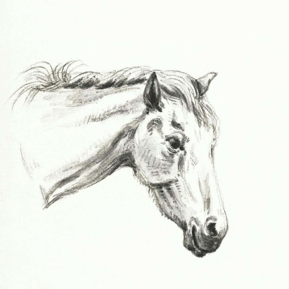 Head Of A Horse (1819), Jean Bernard
