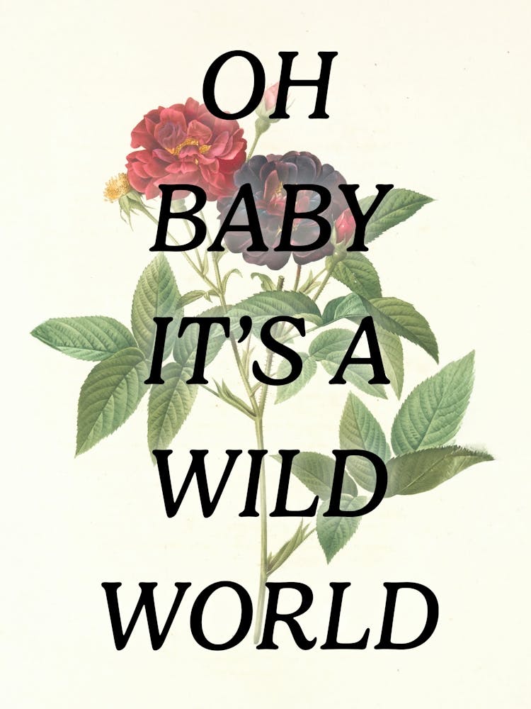 Oh Baby It's A Wild World - Vintage Retro Botanical Flower Illustration