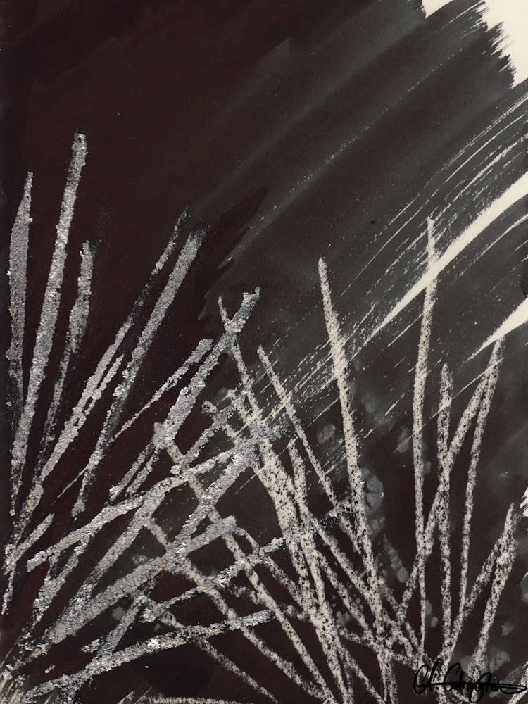 Black And White Ink Silver Leaf