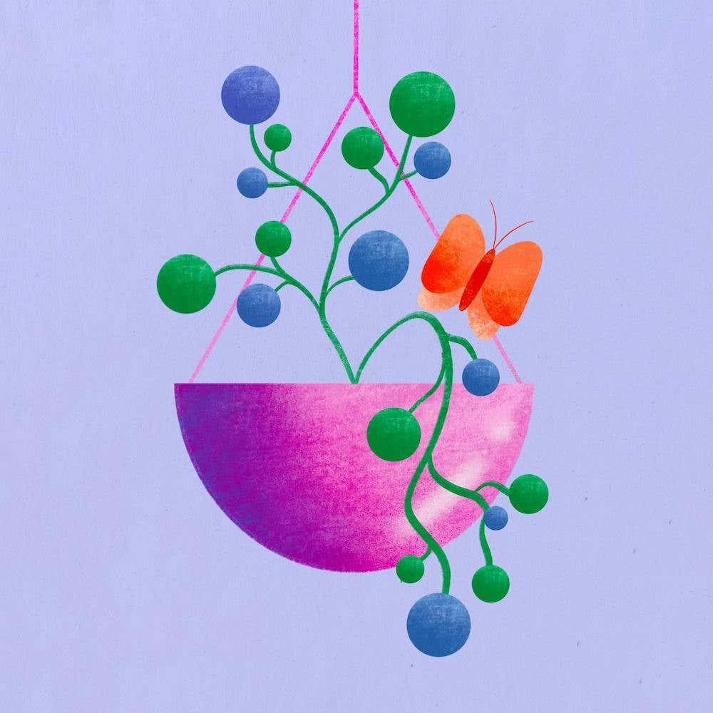 Hanging Basket Square