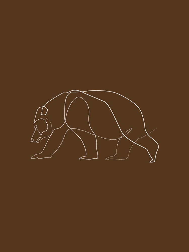 Bear - Line Art Series