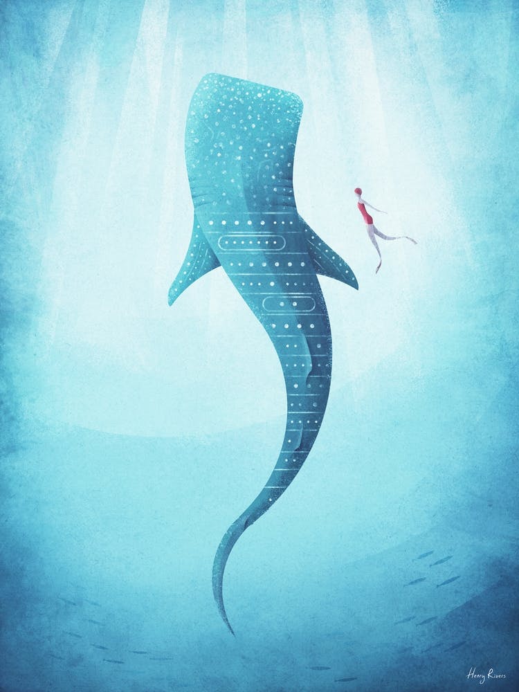 Whale Shark