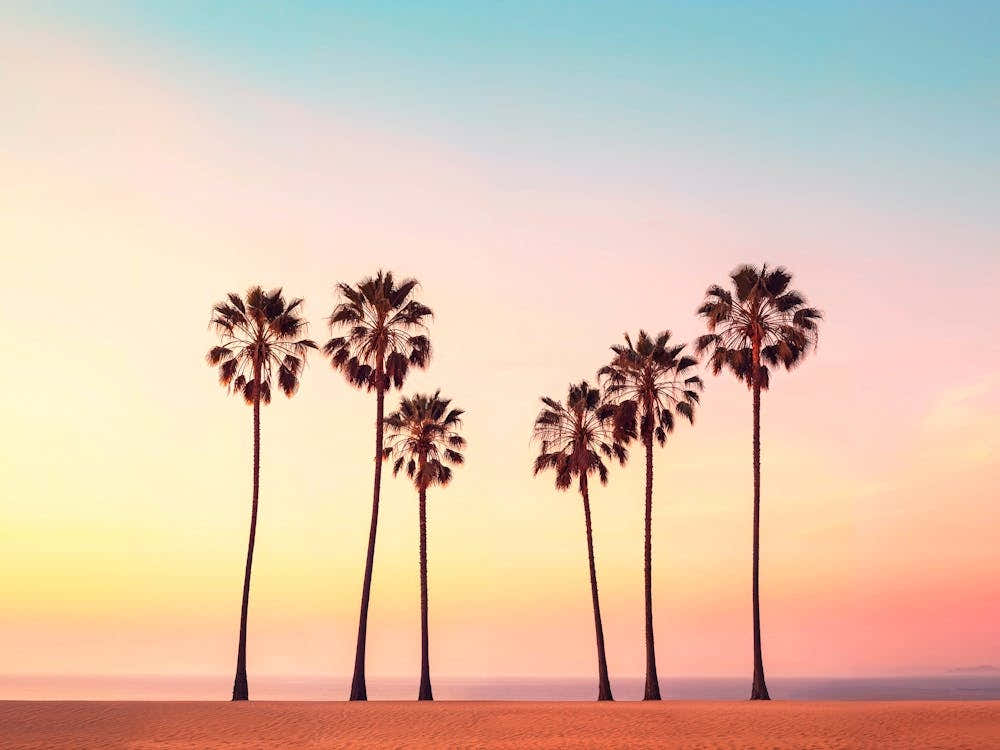 California Dreaming - Coastal Captivations