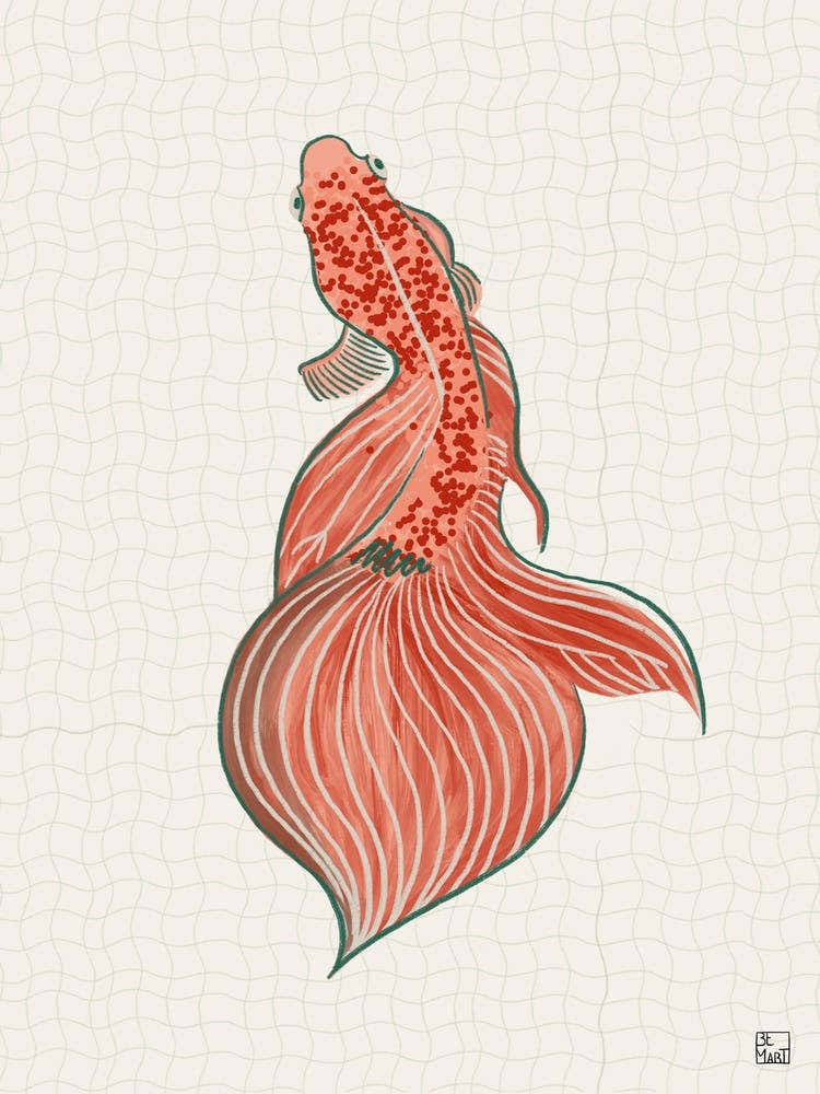 Goldfish With Orange Tones