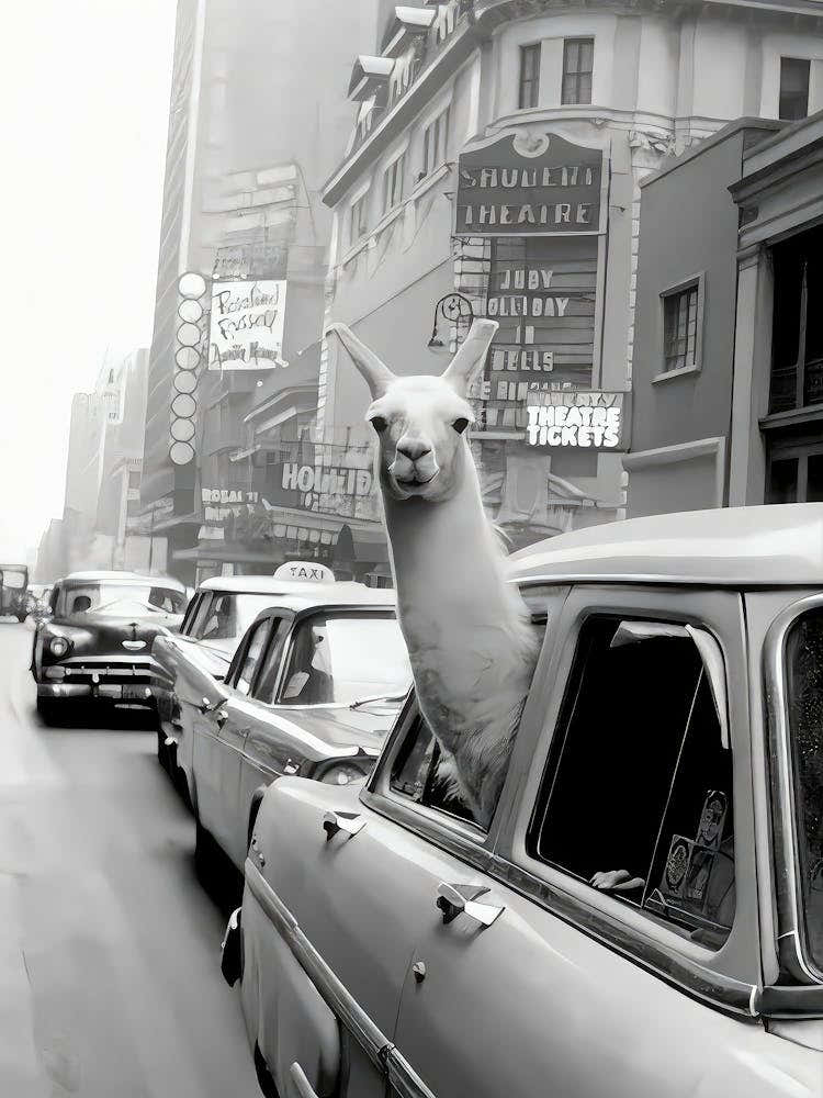 Llama In Times Square New York Wall Art, Vintage Alpaca Print, Black And White Print, Funny Animal Poster, Old Photography, Retro Wall Decor (1)