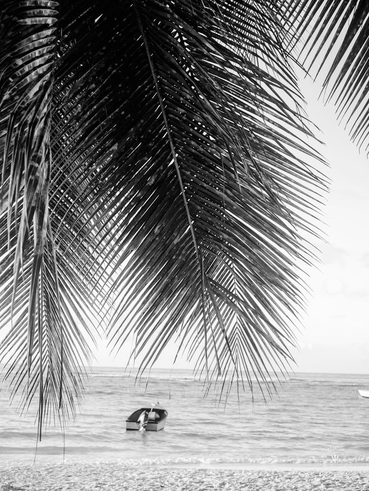 Barbados Black And White Beach Scene, Barbados photography