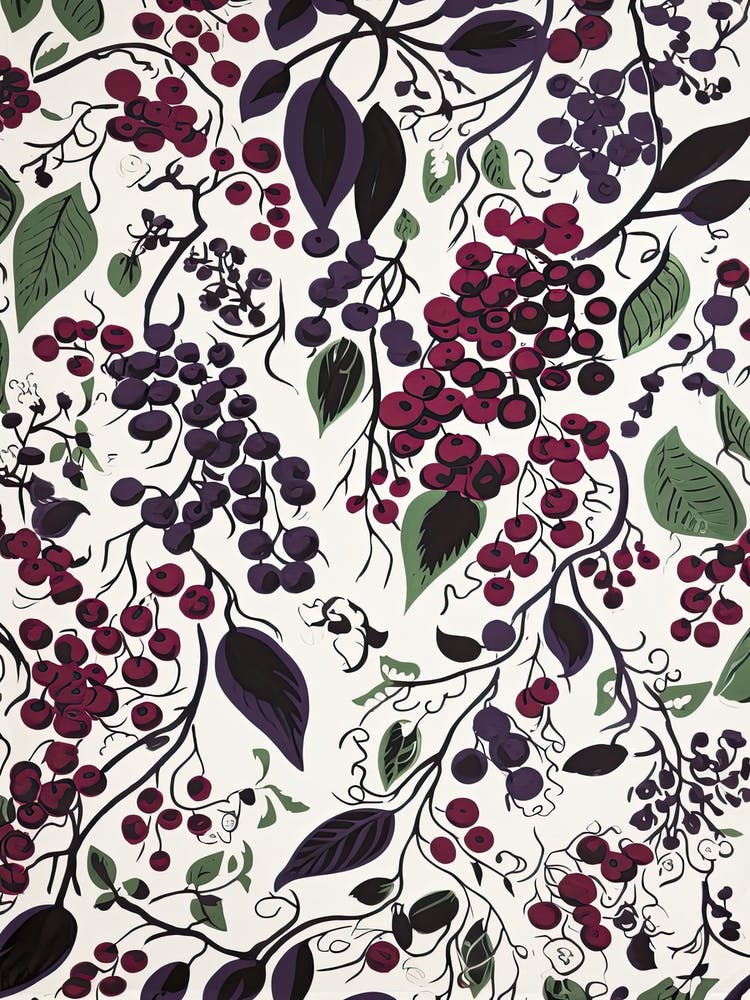 Boysenberry Fruit Drawing 4