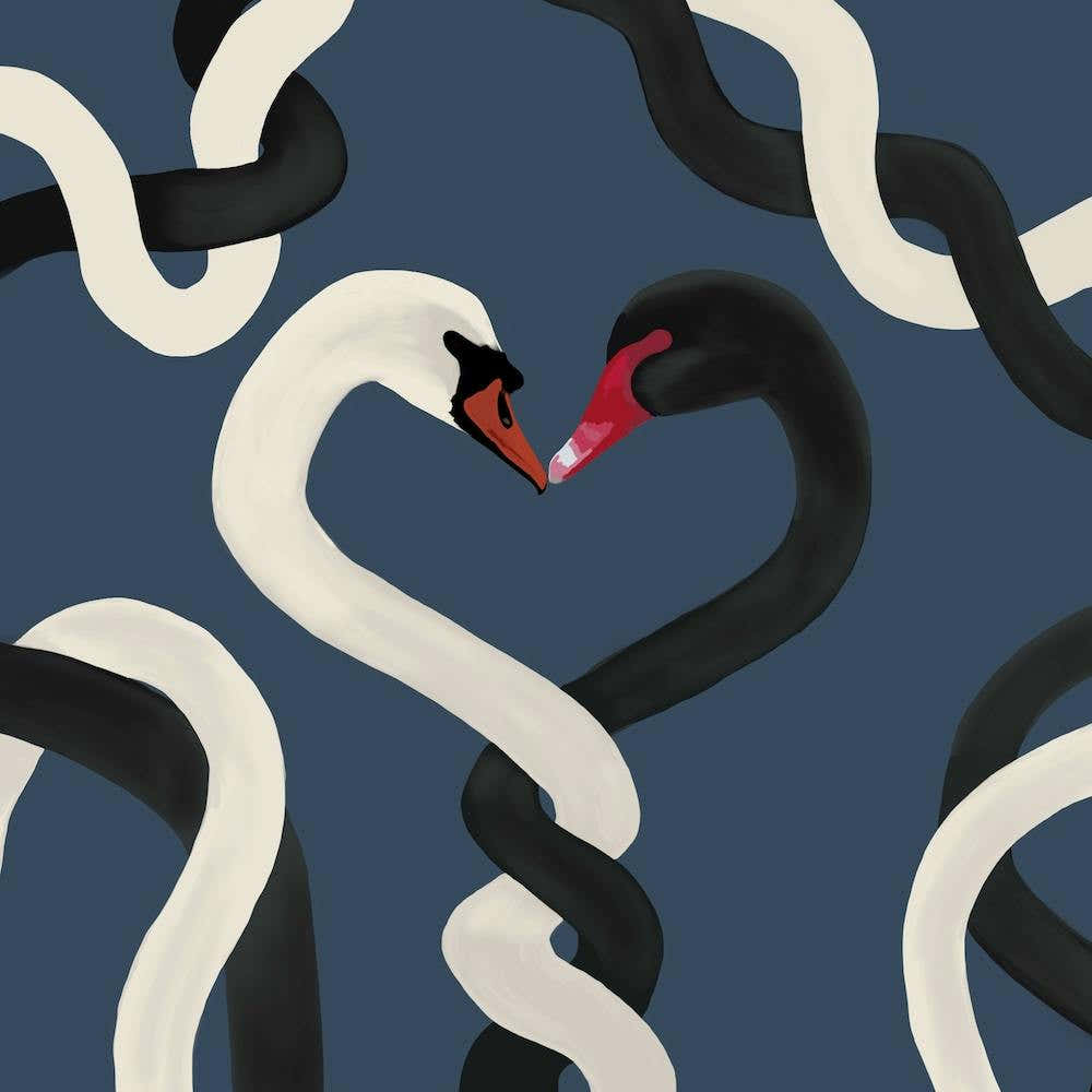 Swan Together Square