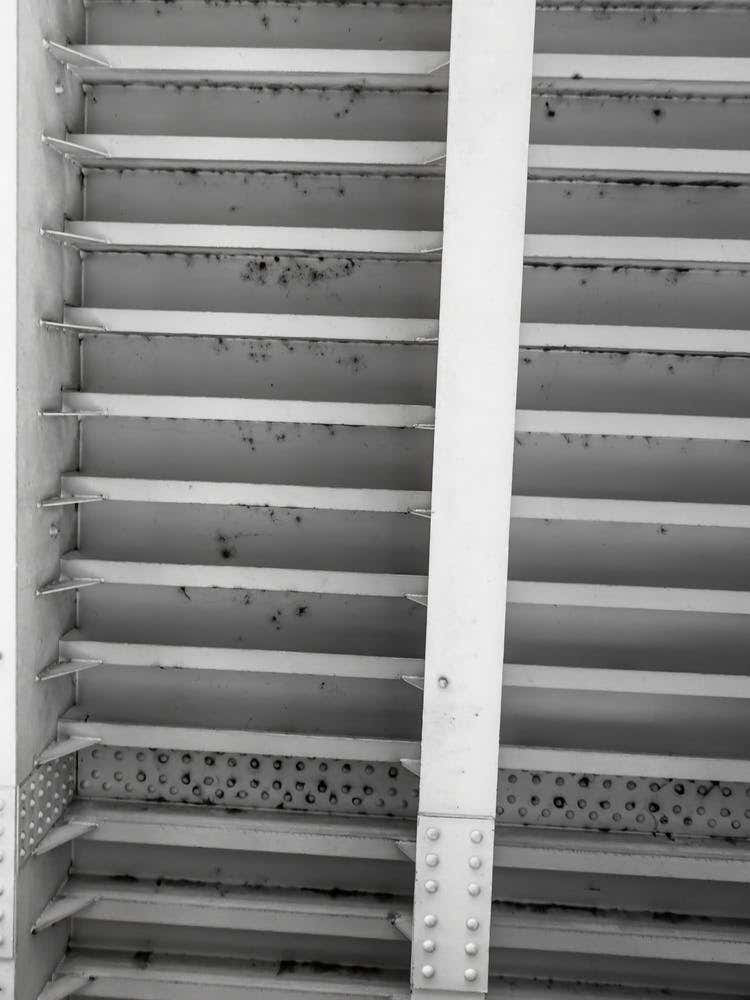 Lines Of Iron Black And White Image Of A Bridge