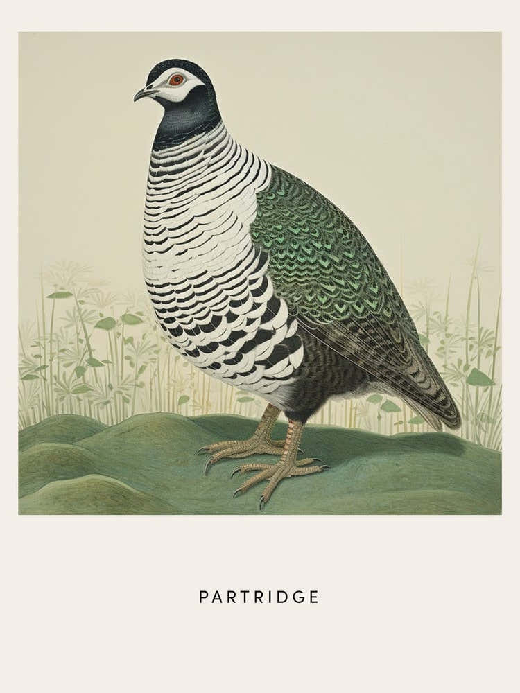 Ohara Koson Inspired Bird Painting Partridge 3 Poster