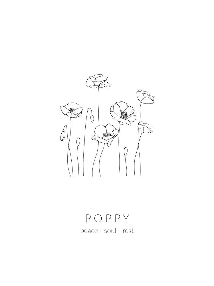 Poppy Birth Flower