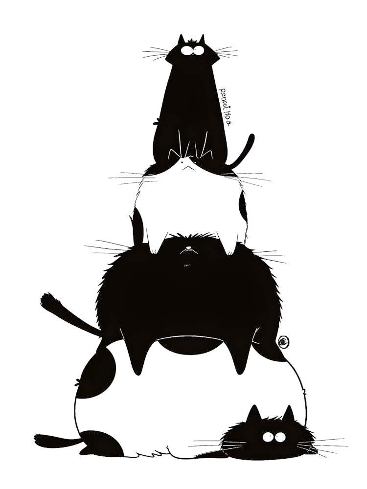 Black Cats On Top Of Each Other