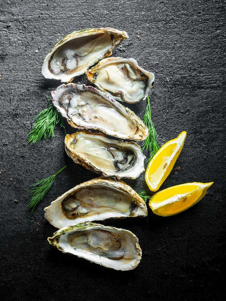 Seafood. Fresh oysters, lemon — Food kitchen poster/blackboard, photo art