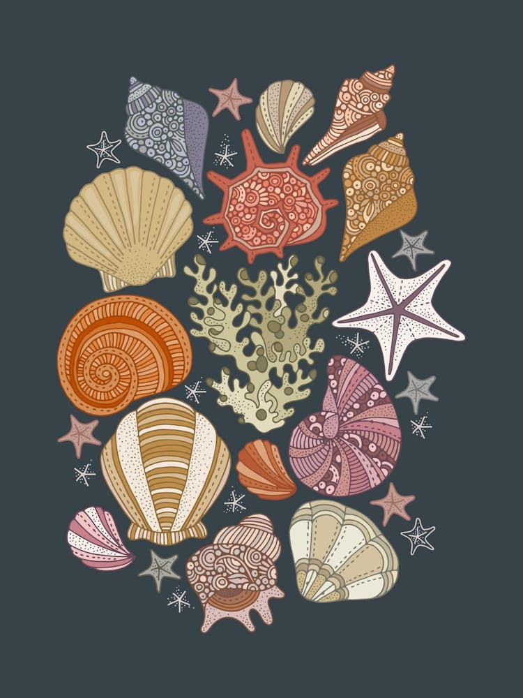 Muriel-Sea shells - blue background