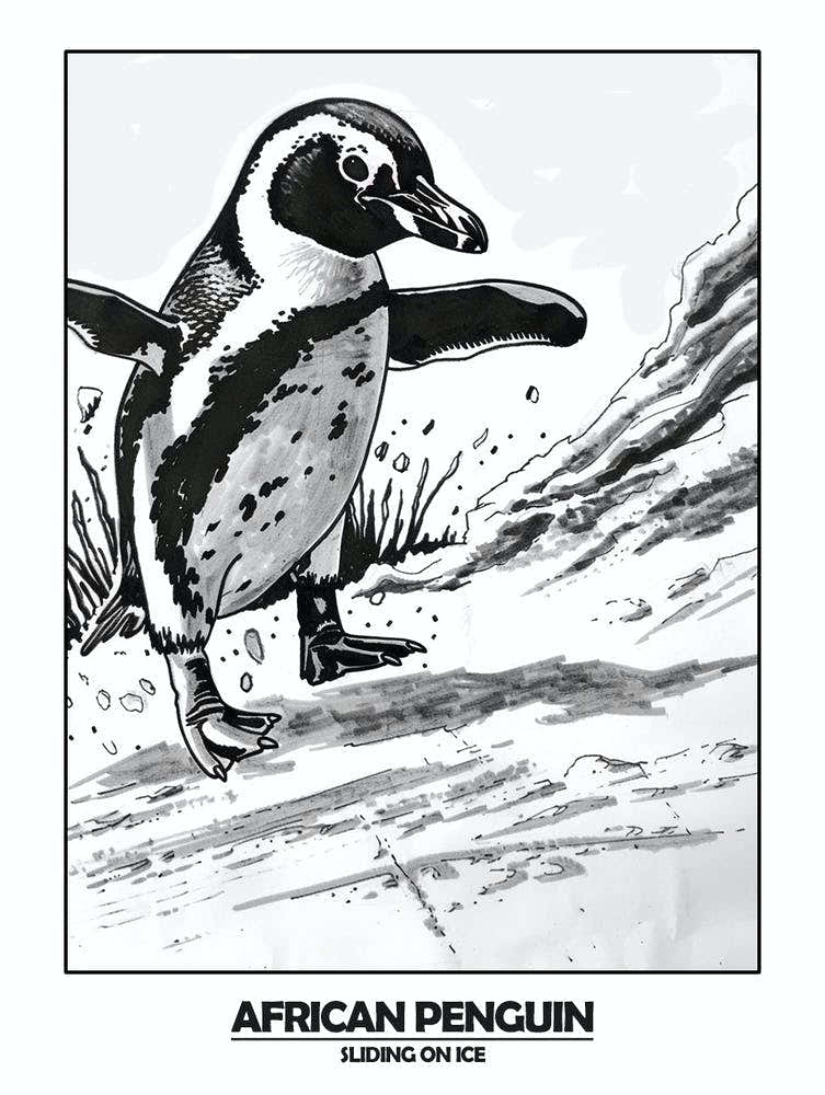 Penguin Sliding On Ice Poster 2