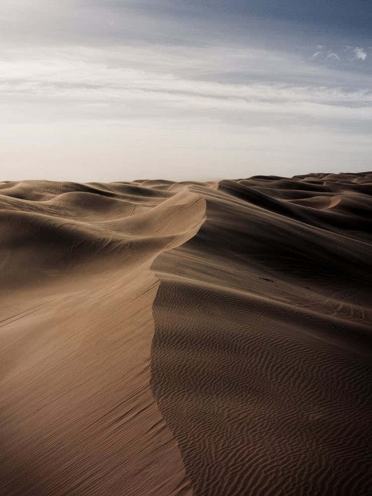 Sand Dunes In The Wind
