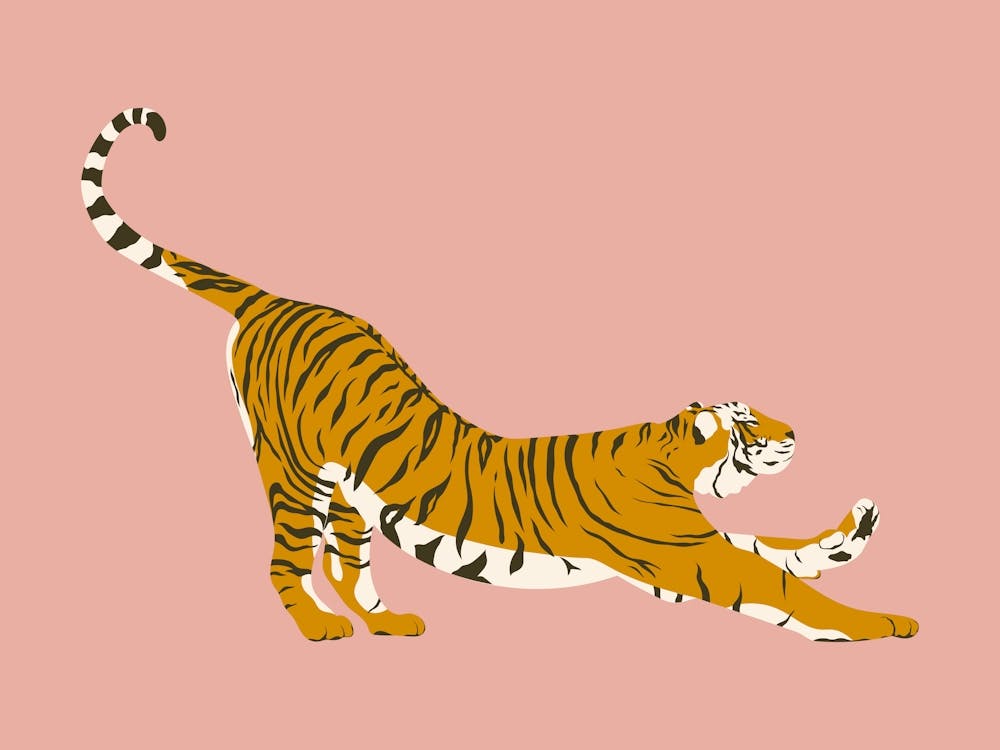 Tiger Stretching - Pink