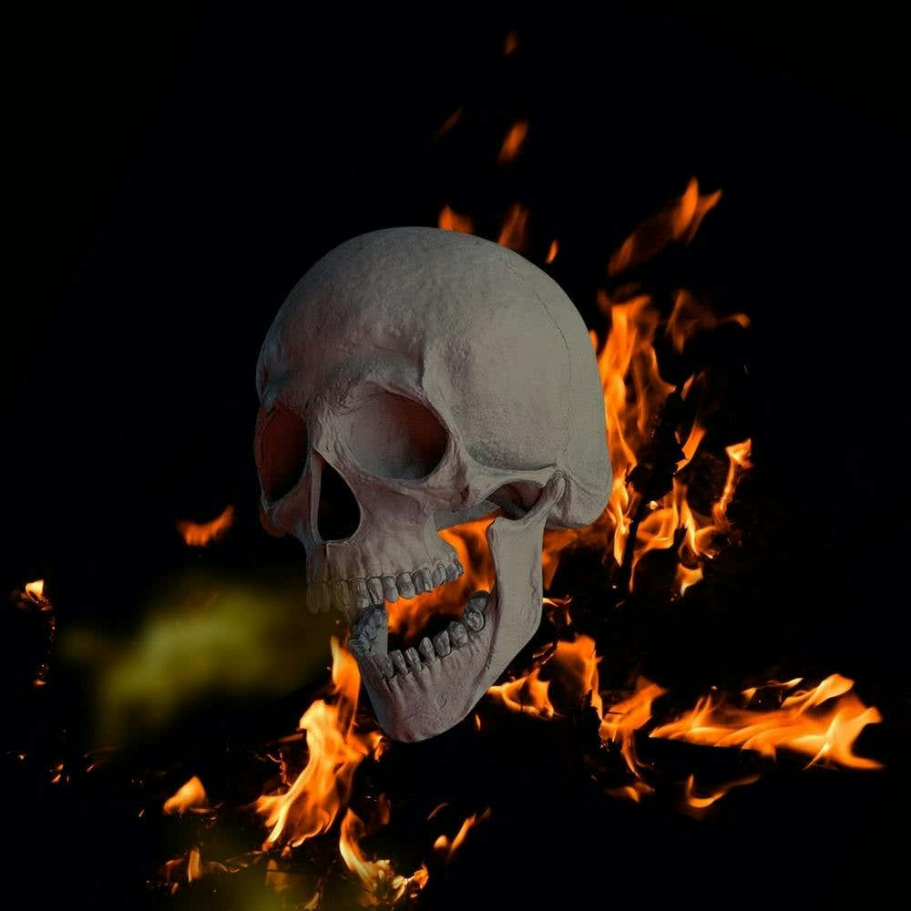 Skull On Fire