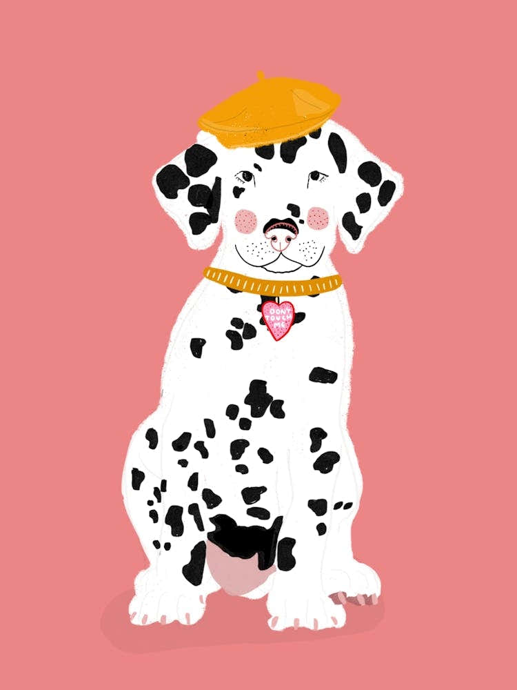 Dalmatian