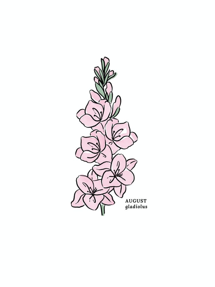August Gladiolus Birth Flower