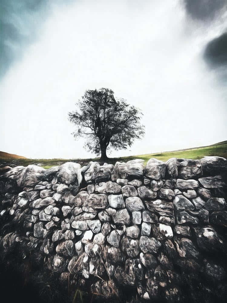 Beyond The Wall Lies The Tree