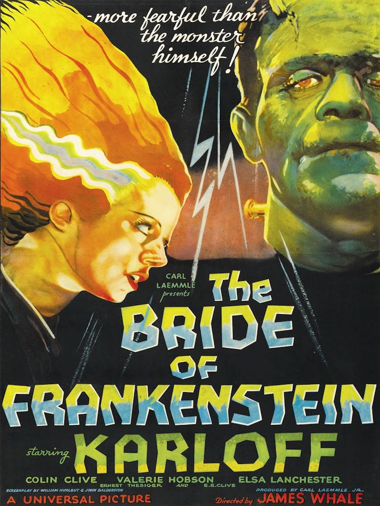 The Bride Of Frankenstein Boris Karloff