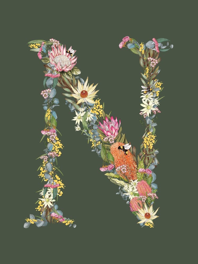 N Olive Alphabet Letter