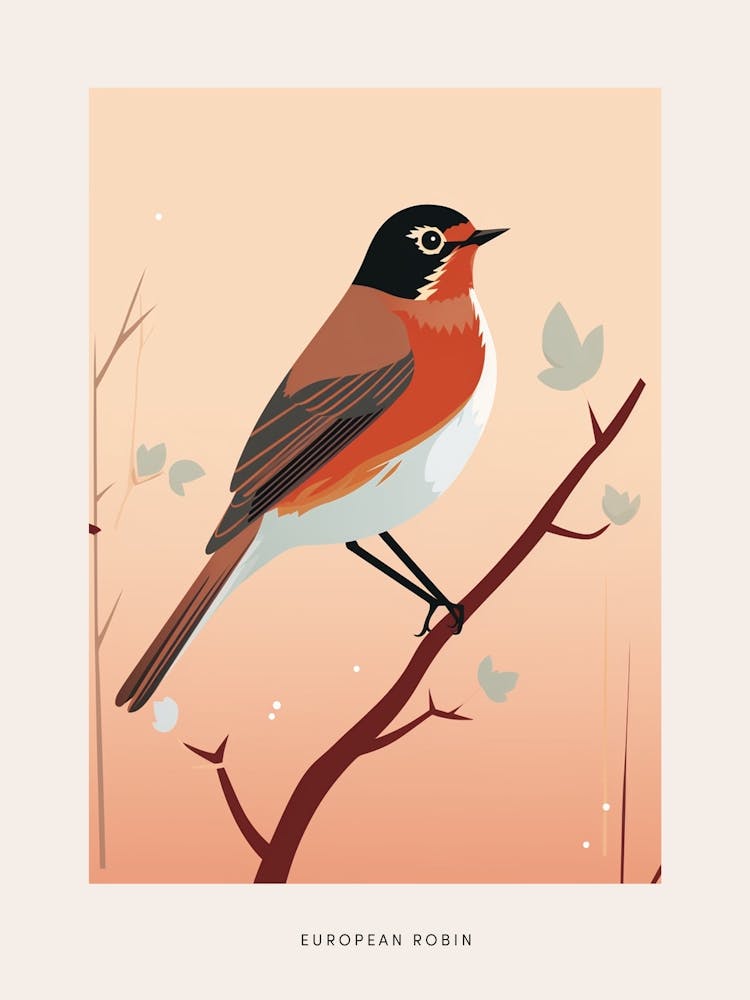 Minimalist European Robin 3 Bird Poster