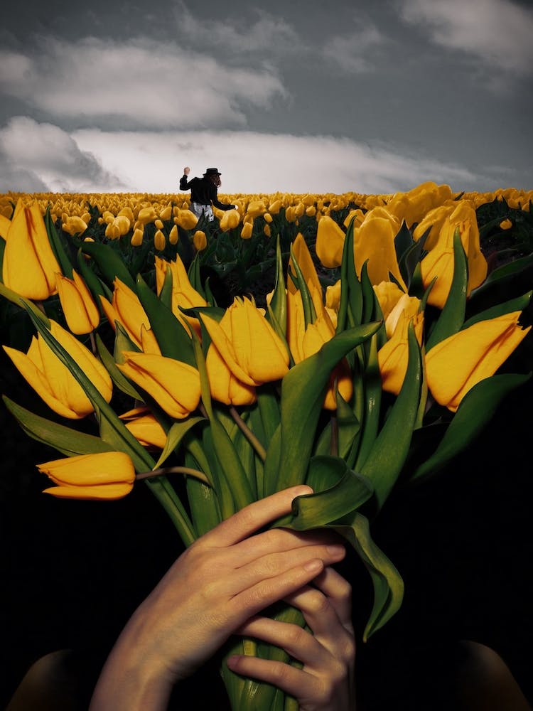 Hiddentity Hidden Identity