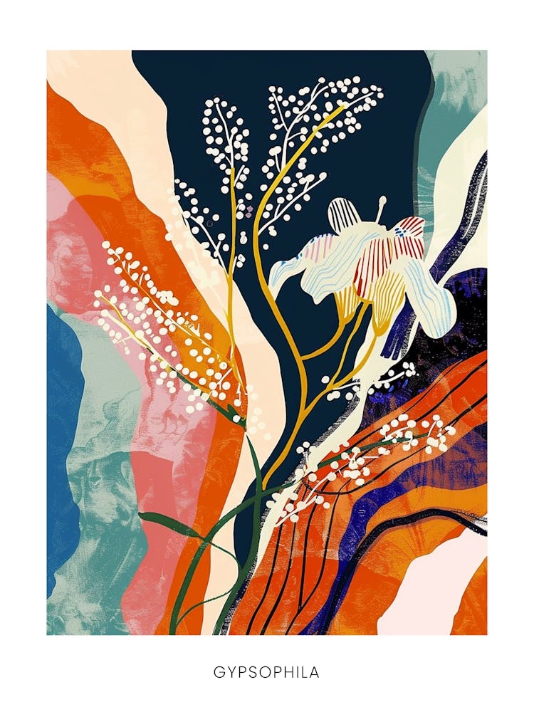 Colourful Flower Illustration Poster Gypsophila 7