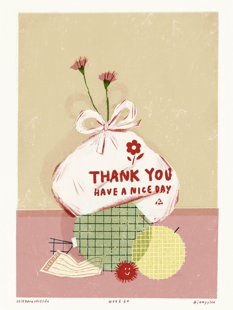 Shopping Bag Still Life