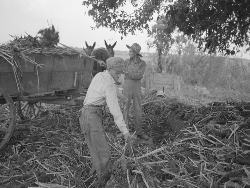 Untitled Photo, Possibly Related To Reaching For Grab Used In Hoisting Hay To Loft, Lake Dick Project, Arkansas B