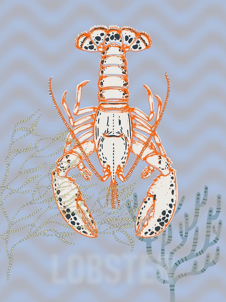 Sea Life Lobster
