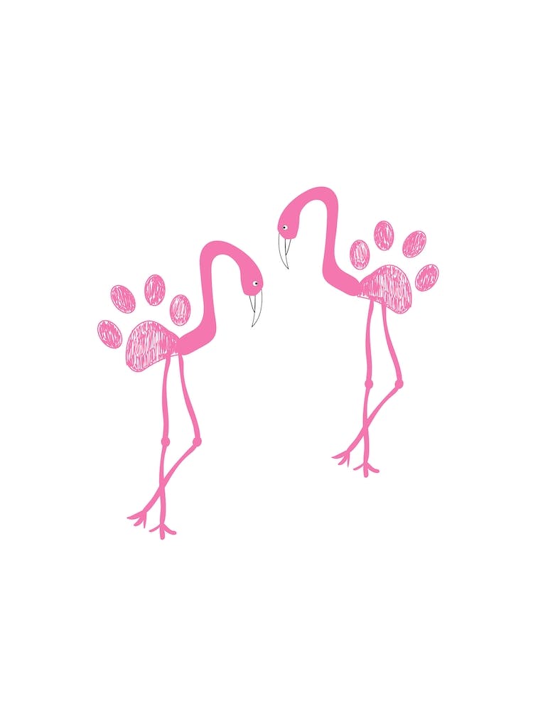 Flamingo Paws