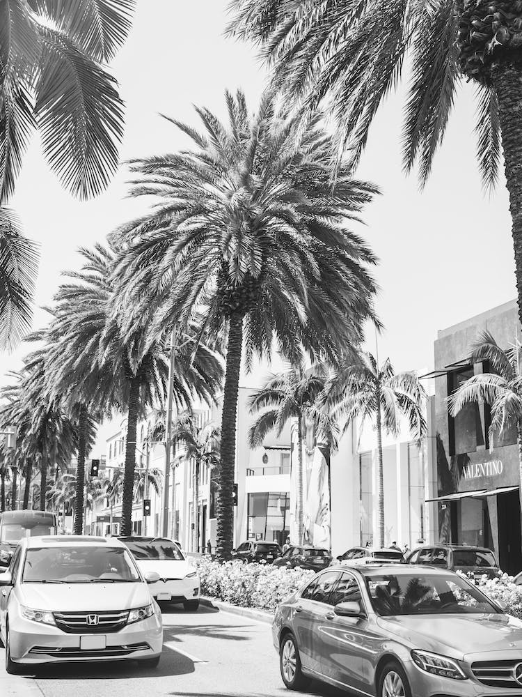 Rodeo Drive La
