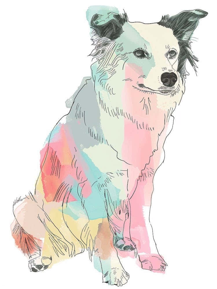 Border Collie Dog Pastel Line Painting 1