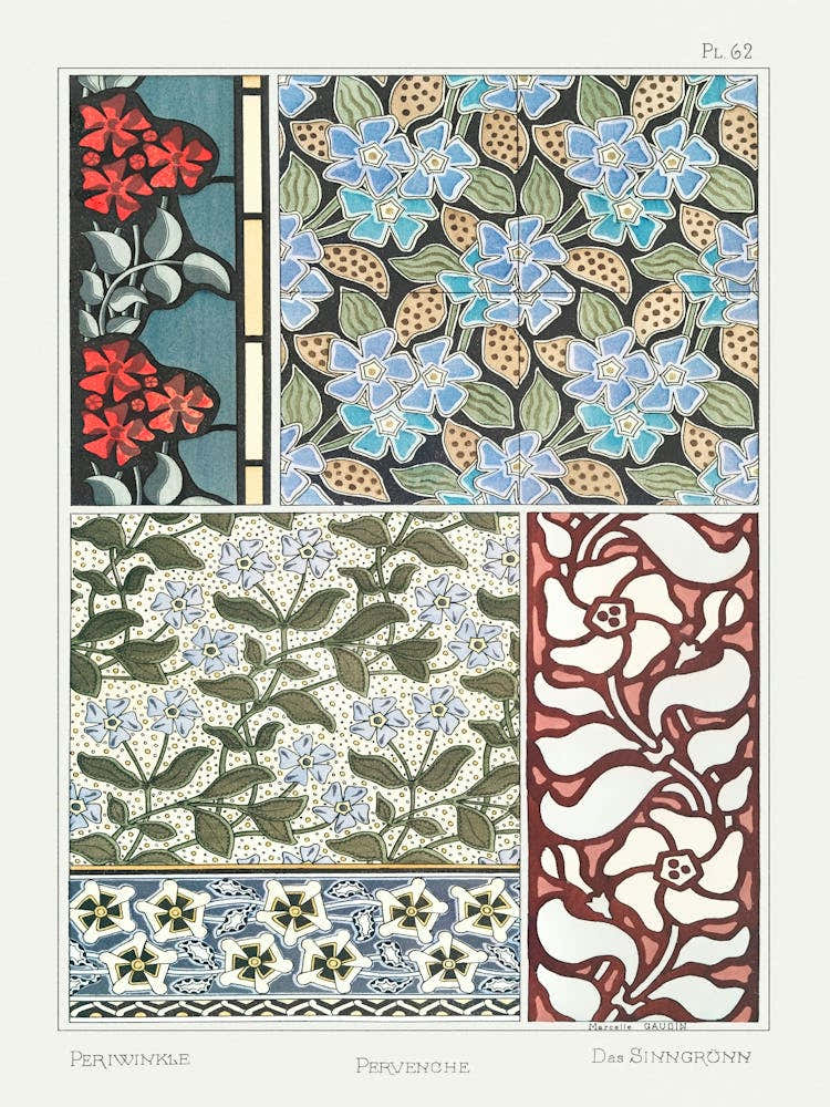 Periwinkle From The Plant And Its Ornamental Applications (1896), Maurice Pillard Verneuil