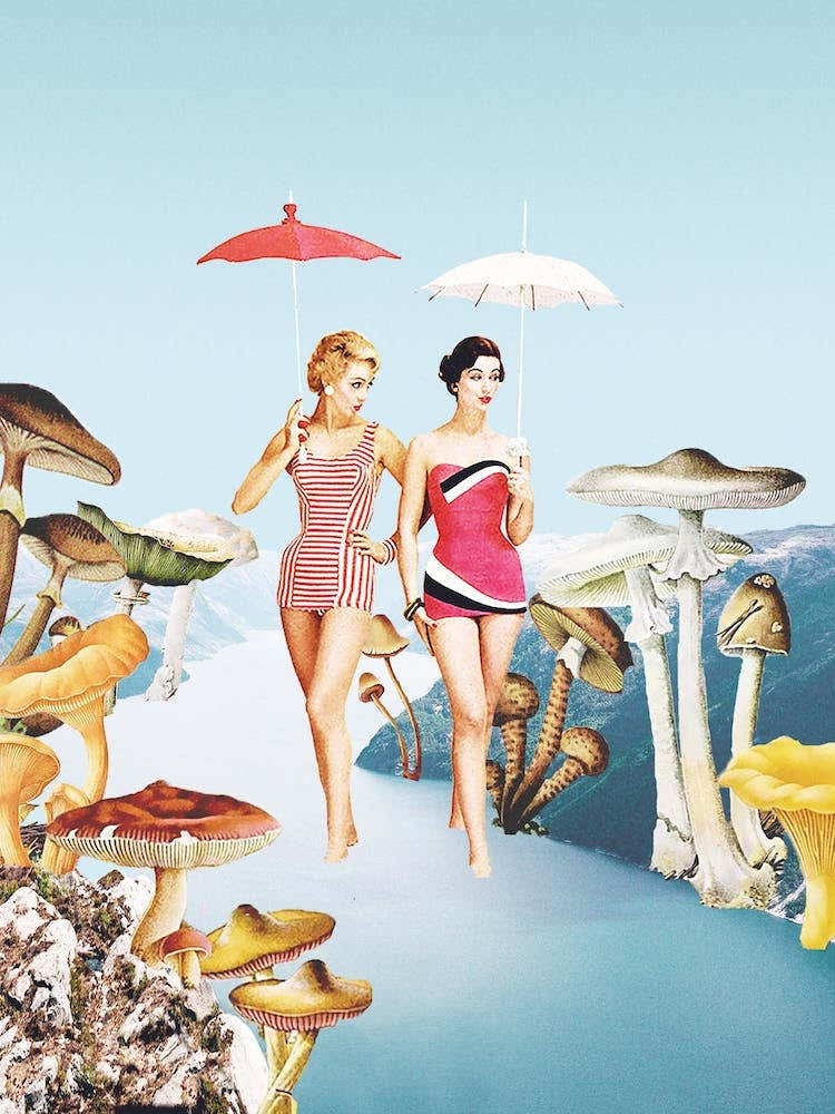 Let's Pretend We're Mushrooms