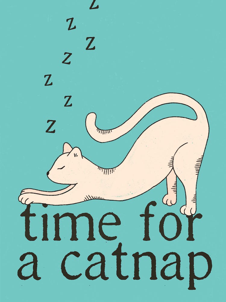 Time For A Cat Nap