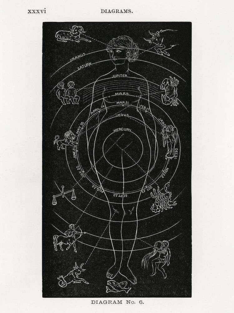Zodiac Diagram, Hiram Erastus Butler